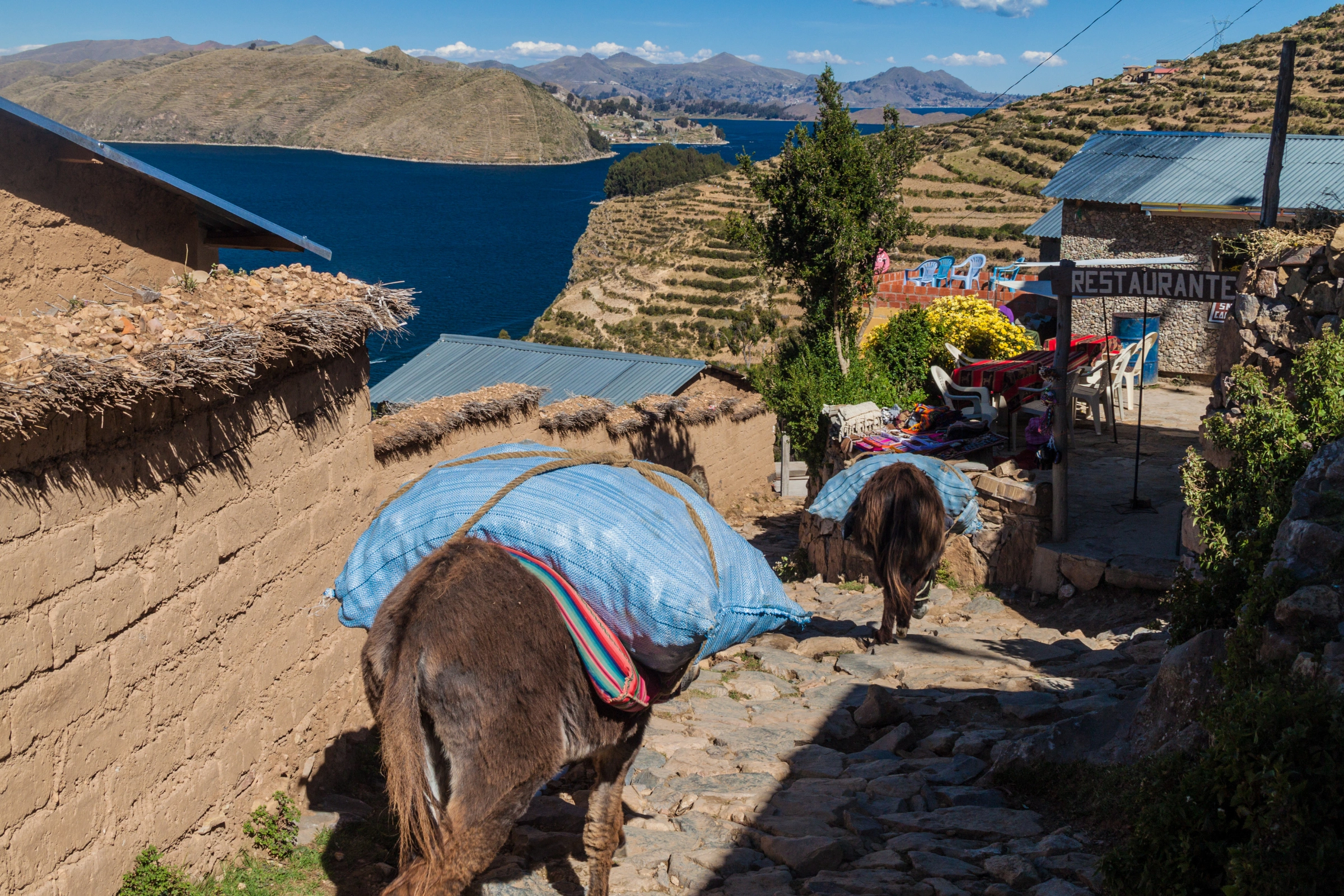 Yumani,_Isla_del_Sol,_Lake_Titicaca[1].webp